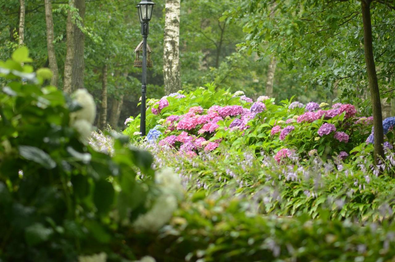 Villa Zofijowka Osjaków Esterno foto