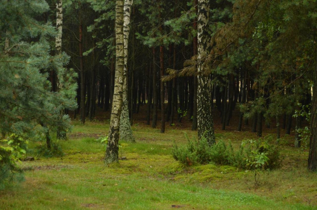 Villa Zofijowka Osjaków Esterno foto