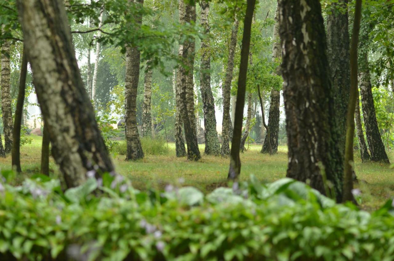 Villa Zofijowka Osjaków Esterno foto